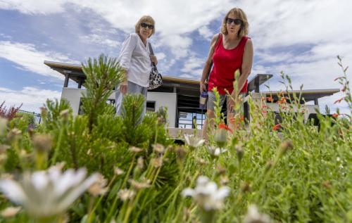 (Leah Hogsten | The Salt Lake Tribune) Tootie Neumann, left, and her daughter-in-law Kathy Neumann examine water-wise plants at the Jordan Valley Water Conservancy Garden Park while gathering ideas about how to flip the strip at Tootie's house, Thursday, July 14, 2022.